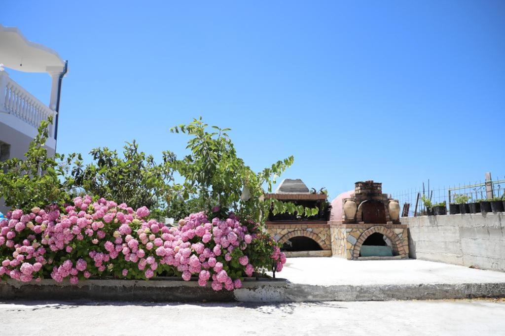Guest House Narta วญอเรอ ภายนอก รูปภาพ