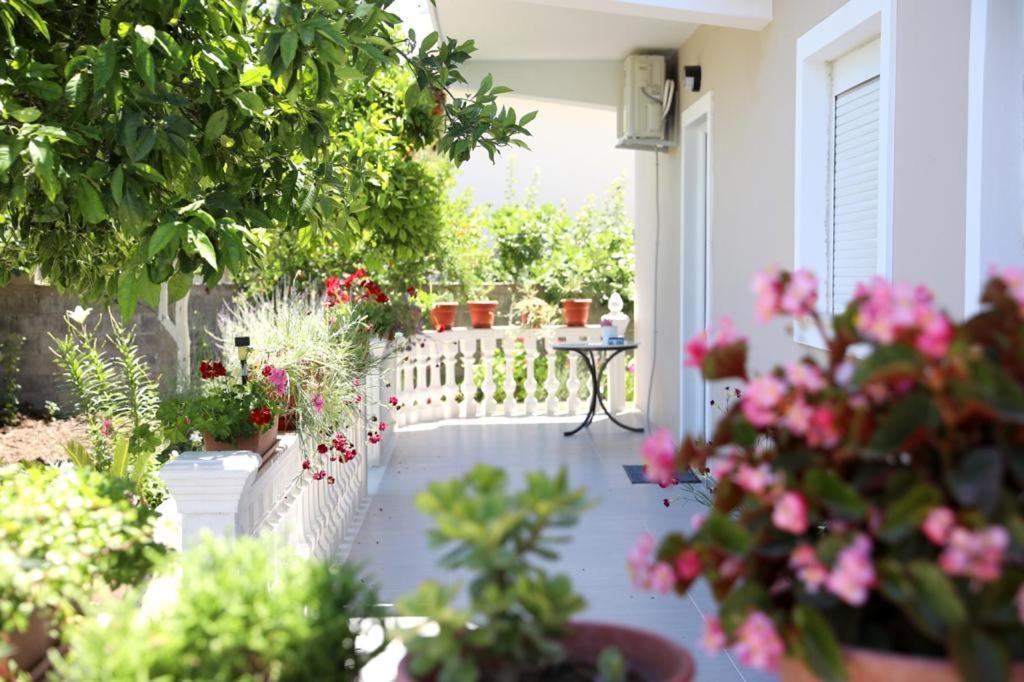 Guest House Narta วญอเรอ ภายนอก รูปภาพ