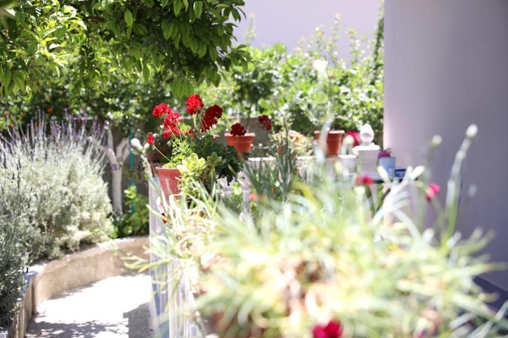 Guest House Narta วญอเรอ ภายนอก รูปภาพ
