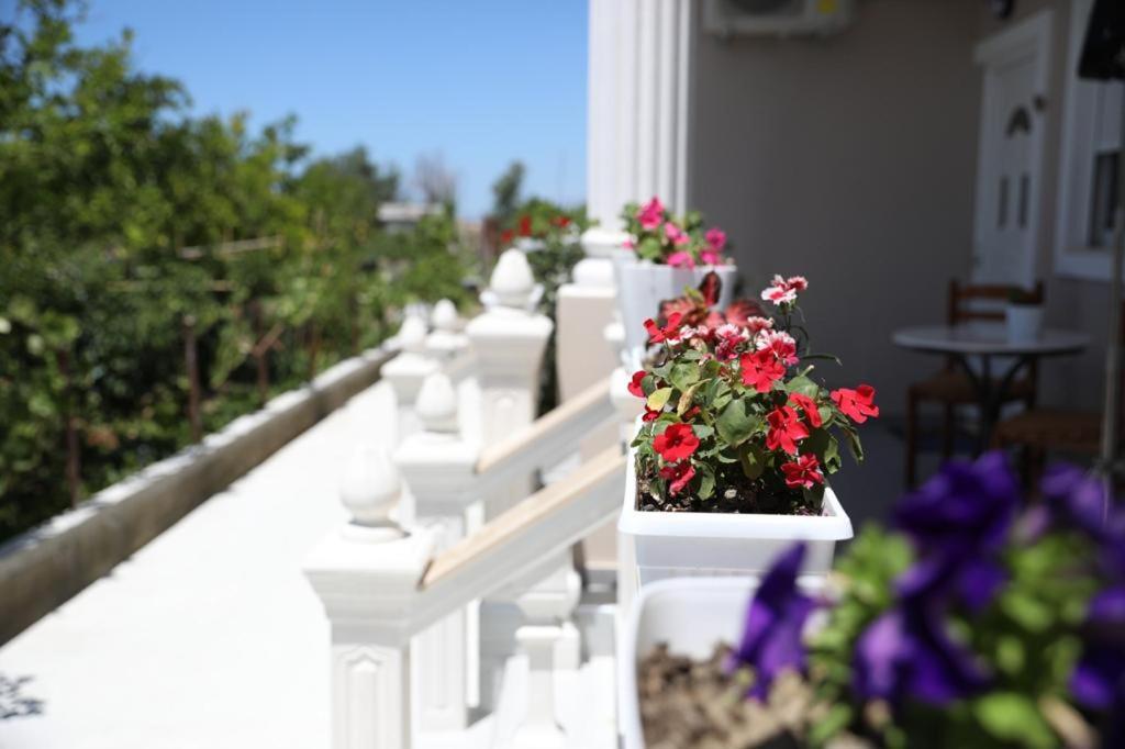 Guest House Narta วญอเรอ ภายนอก รูปภาพ
