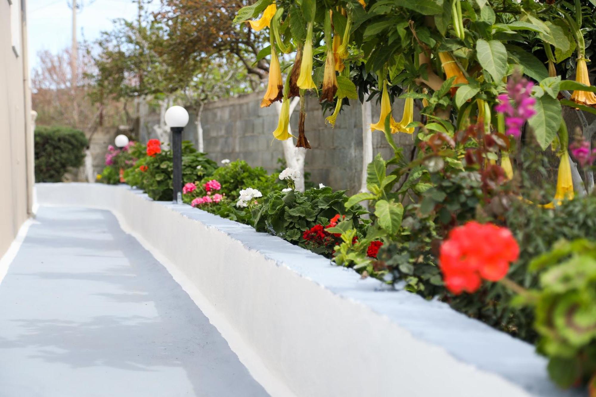 Guest House Narta วญอเรอ ภายนอก รูปภาพ